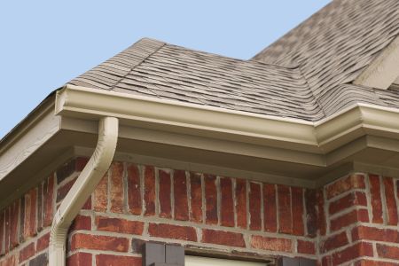 Gutter maintenance task